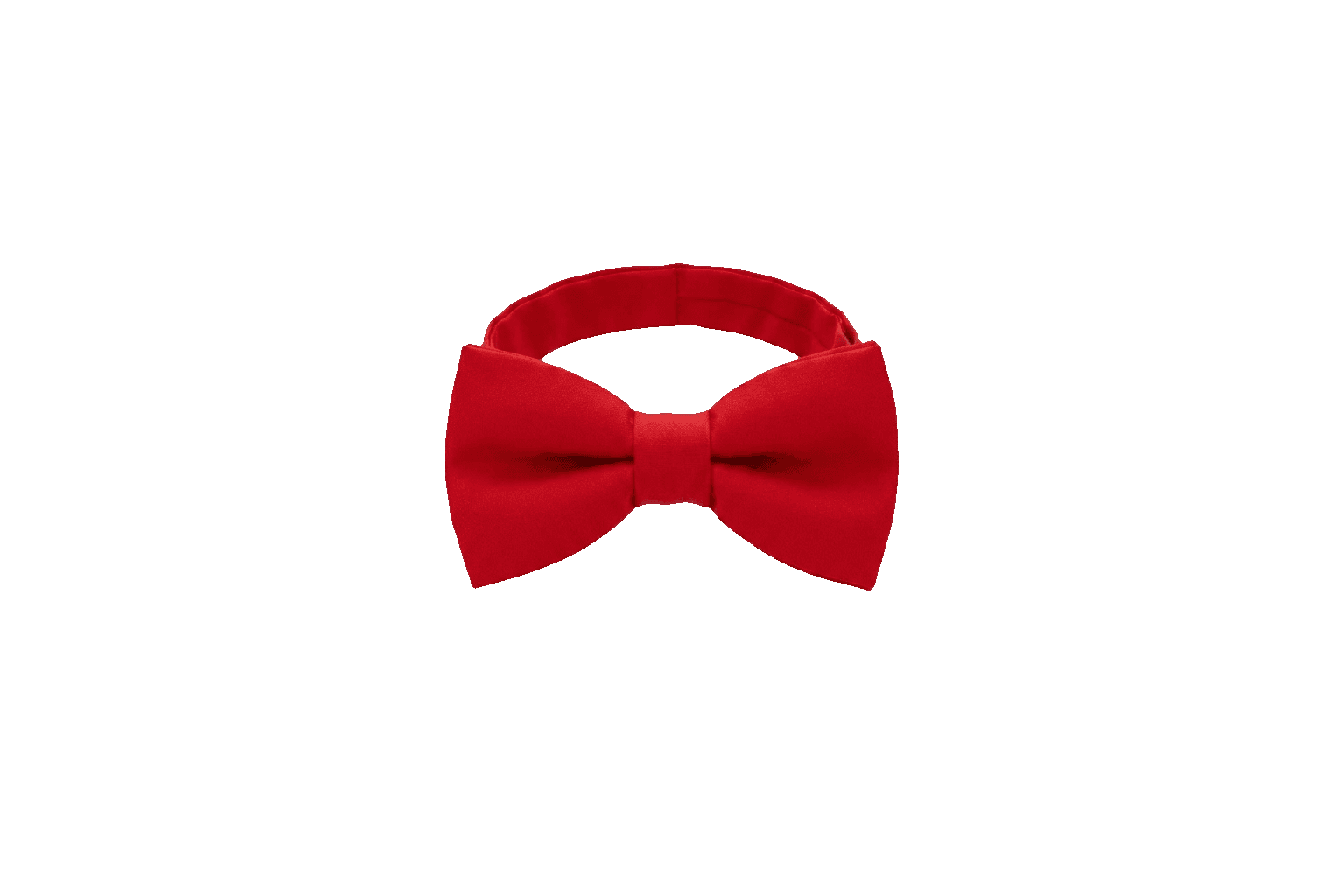 Bow Tie
