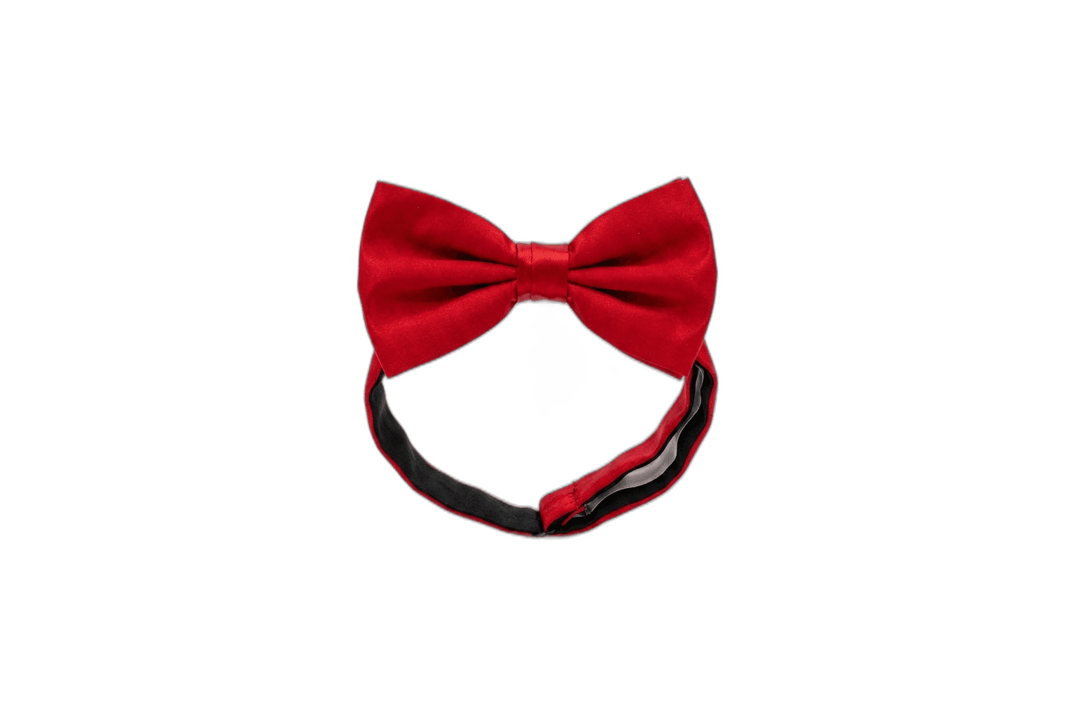 Bow Tie