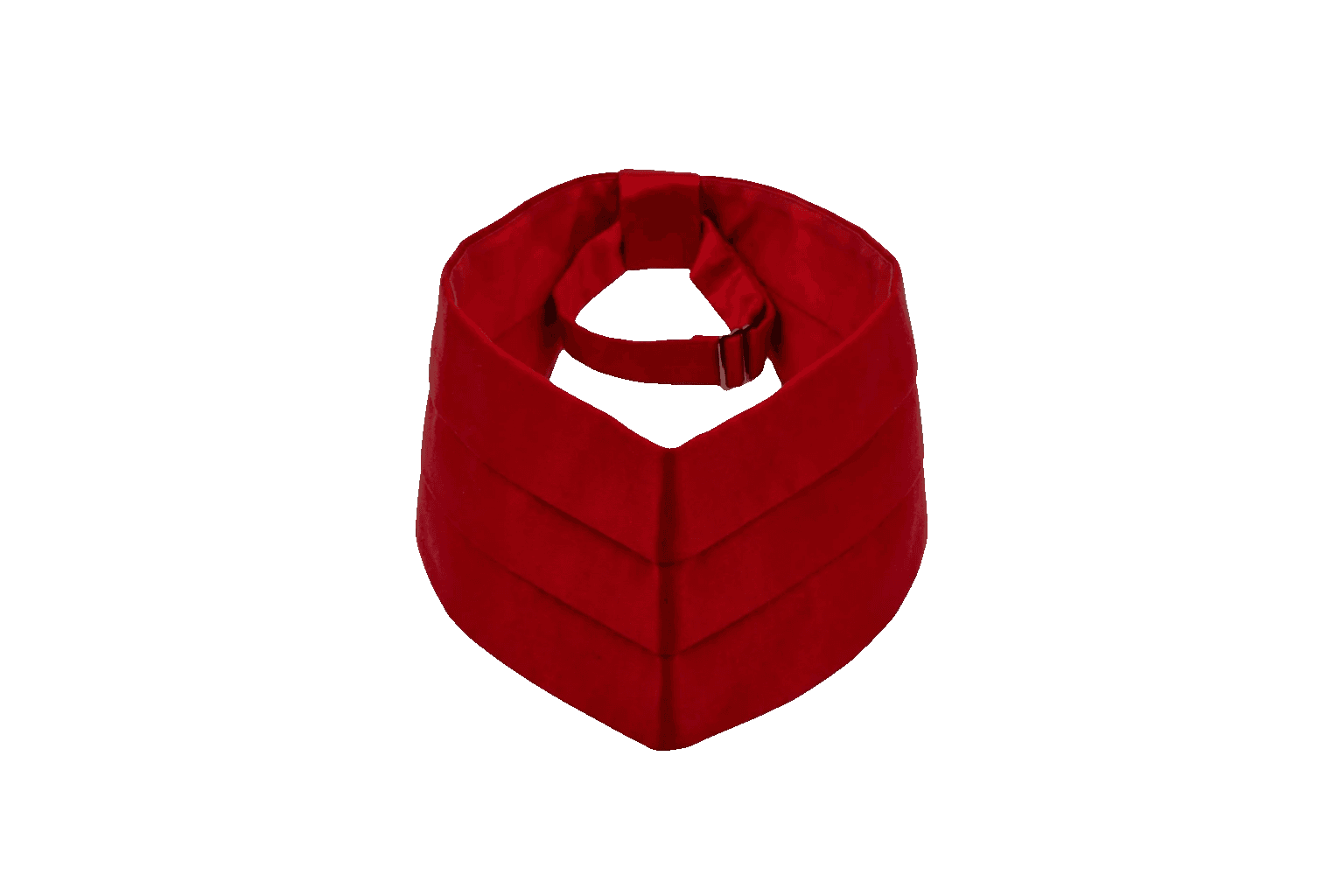 Cummerbund
